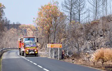 Incendie de l'Aude août 2025. Végétation calcinée en bord de route. Pompiers en intervention.