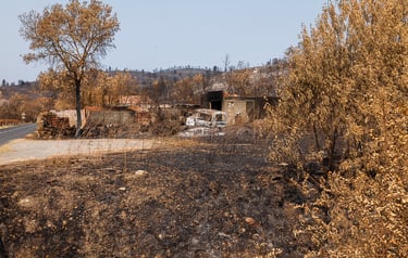 Incendie de l'Aude août 2025. Bâtiment et véhicule détruit.