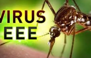 Eastern Equine Encephalitis (EEE)