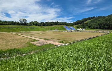 Site view