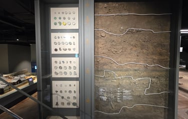 Stratigraphy display
