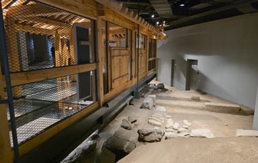 Building reconstruction