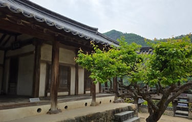 Dormitory garden view