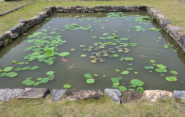 Gwanbuk-ri pond