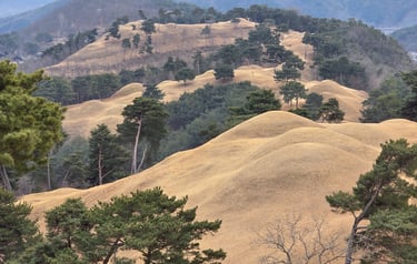 Jisandong tumuli long view