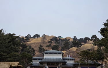 Tumuli and Daegaya Museum view