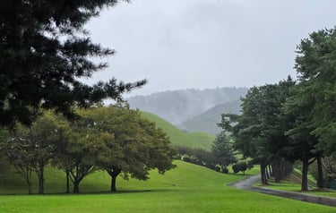 Presumed Silla royal tombs behind King Muyeol's tomb