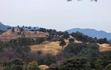 Jisandong tumuli view 1