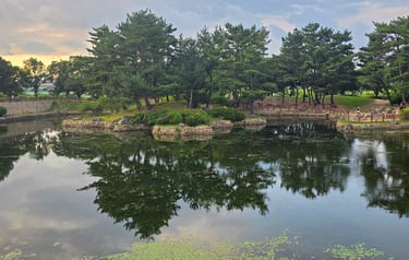 Wolji Pond