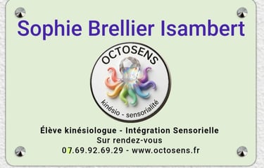 visuel de la plaque professionnelle d'Octosens