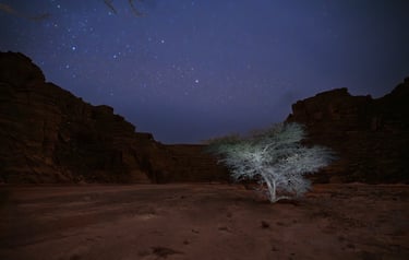 Nightscape, Voie Lactée, Milky Way, Via Lattea, Paysage Etoilé, Starry Landscape, Paesaggio stellato