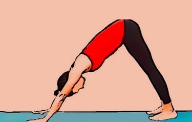 Downward Facing Dog (Adho Mukha Svanasana)