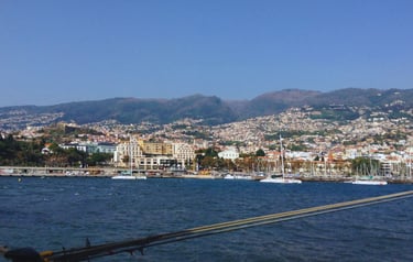 foto do navio ancorado em Funchal com vista para a cidade