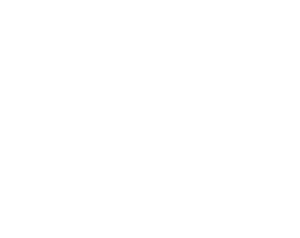 Linkers express logo