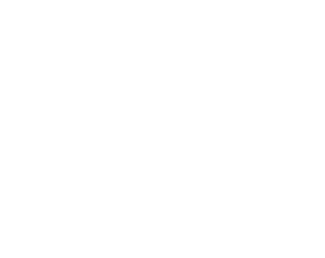 Chessboard logo