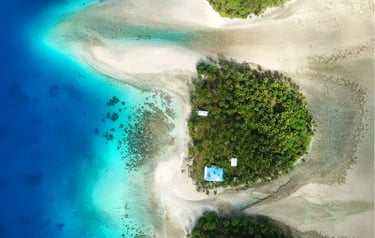 Aerial view of a tropical island beach with turquoise ocean water and lush palm trees.