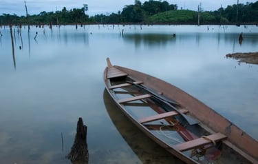 A traditional wooden boat floats on a calm lake with submerged tree trunks and a forest background.