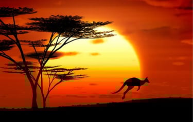 Silhouette of a kangaroo jumping across the Australian outback at sunset with acacia trees.