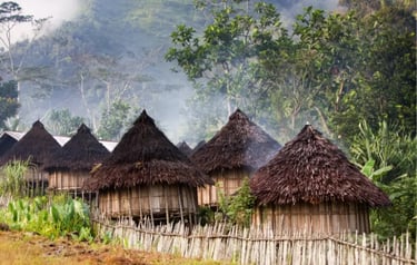 Traditional thatched roof huts in a misty mountain village landscape.