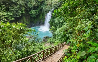Stairs leading to the turquoise Rio Celeste waterfall in the lush Costa Rica rainforest.