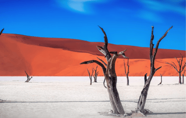 Dead Vlei, Namibia.