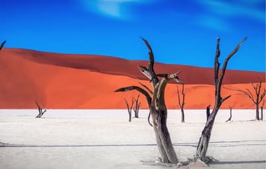 Dead camel thorn trees in Deadvlei, Namibia, against orange sand dunes and a blue sky.