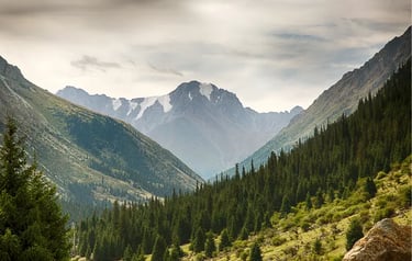 Scenic mountain valley with evergreen pine forests and snow-capped peaks under a cloudy sky.