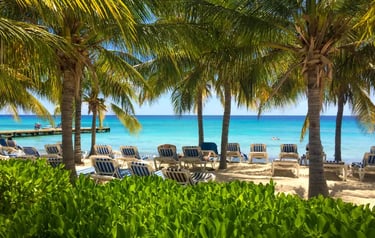 Tropical beach resort with palm trees, lounge chairs, and turquoise ocean water on a sunny day.