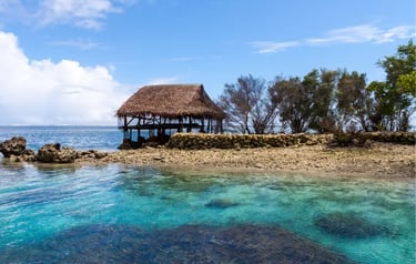 A tropical thatched roof hut on a rocky island shore overlooking crystal clear turquoise ocean water.
