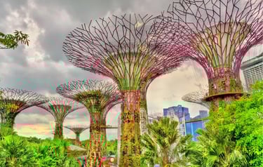 Vertical gardens at Supertree Grove in Gardens by the Bay, Singapore under a cloudy sky.