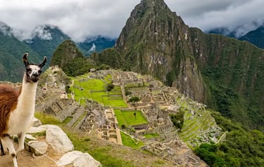 A llama overlooks the ancient Inca ruins of Machu Picchu in Peru under a cloudy sky.