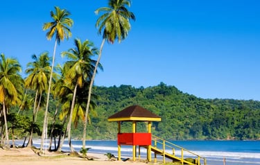 Tropical beach with a red and yellow lifeguard tower, tall palm trees, and lush green hills.
