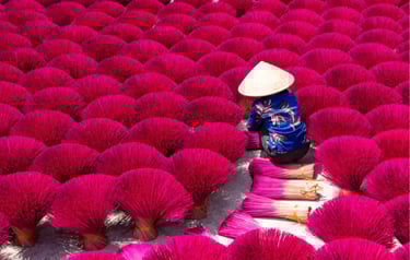 A worker in a conical hat drying vibrant pink incense sticks in a traditional Vietnamese village.