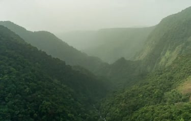 Lush green mountain valley covered in dense tropical forest under a misty, hazy sky.