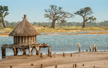 Traditional thatched hut on stilts by a river with baobab trees in the African savanna landscape.