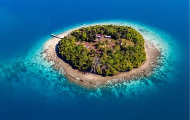 Aerial view of a tropical private island resort with lush greenery and white sand beach in blue ocean.