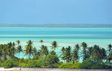 Tropical island shore with lush palm trees overlooking turquoise lagoon water under a clear blue sky.
