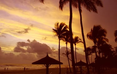 Tropical beach sunset with silhouetted palm trees and thatched umbrellas along a sandy coastline.