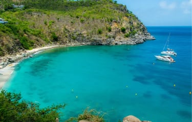 Aerial view of luxury yachts anchored in a tropical bay with turquoise water and green cliffs.