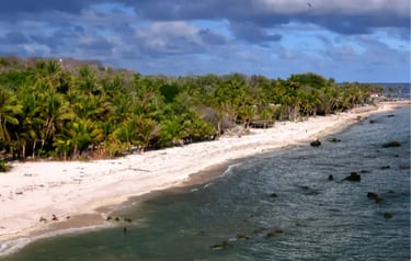 Tropical white sand beach lined with lush green palm trees under a cloudy blue sky.