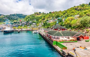 Scenic view of St. George's harbor in Grenada featuring colorful buildings and lush green hills.