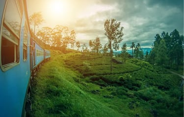 Blue train traveling through lush green tea plantations in Sri Lanka during a golden sunset.