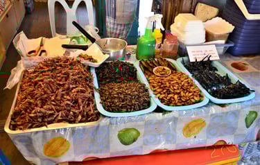 But save room for some Tasty Bugs for Lunch in Thailand