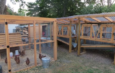 Chickens in a coop and Rabbits in a hutch