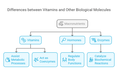vitamins & other biological molecules