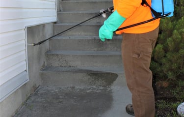 how to keep bugs out of house