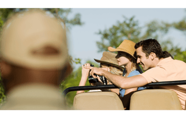 jeep safari in ranthambore national park
