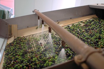 Preparazione
