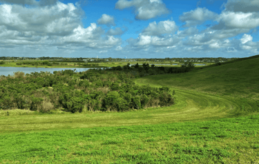 the celery fields in Sarasota florida