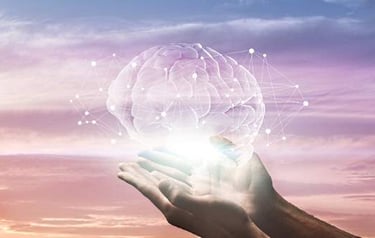 Brain plasticity